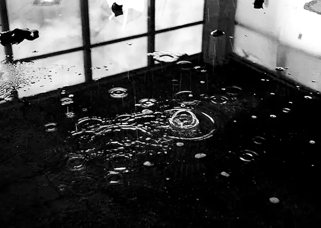 Your Contaminated Water Removal Specialists in Morganton, GA