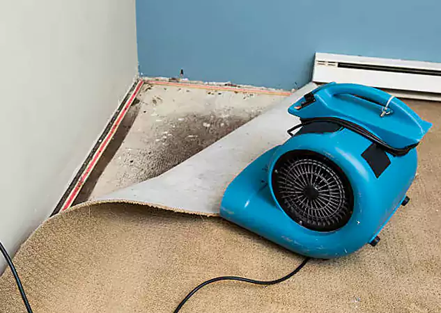 Your Water Damage Experts in Morganton, GA