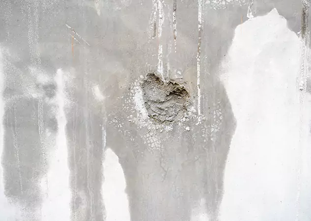 Your Mold Mitigation Solutions Partner in Morganton, GA