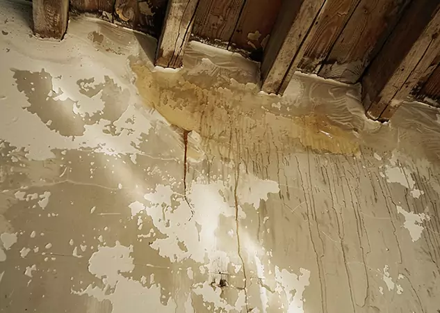 Your Trusted Restoration Company in Morganton, GA