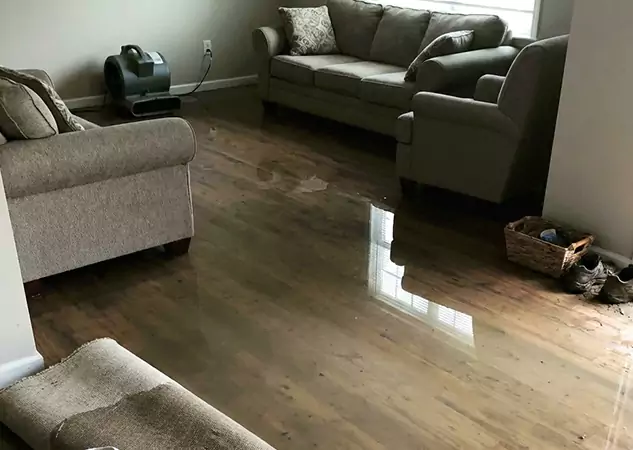 Your Trusted Restoration Company in Morganton, GA