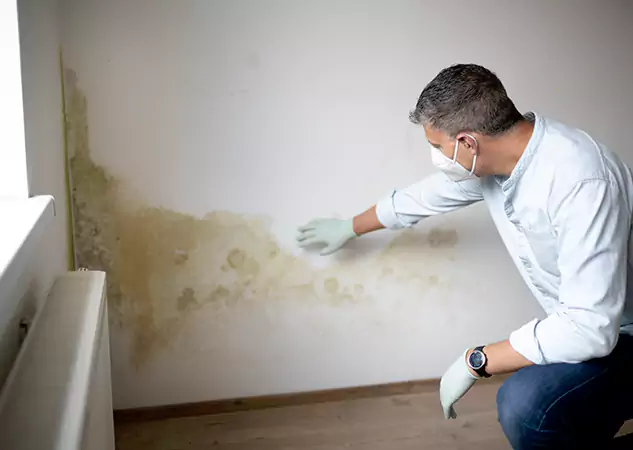 Reach Our Remediation Team Before Damage Grows in Morganton, GA!