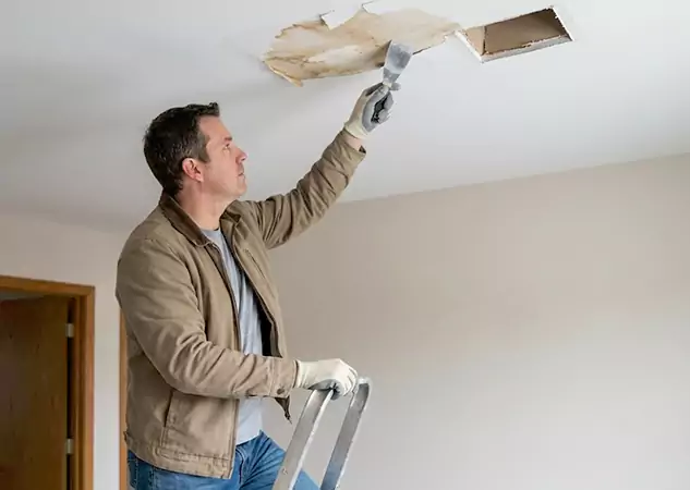 Your Ceiling Damage Repair Experts in Morganton, GA