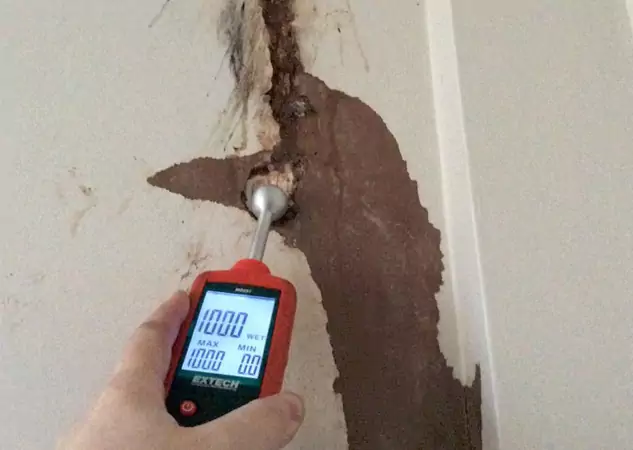 Your Water Damage Assessment Partner in Morganton, GA