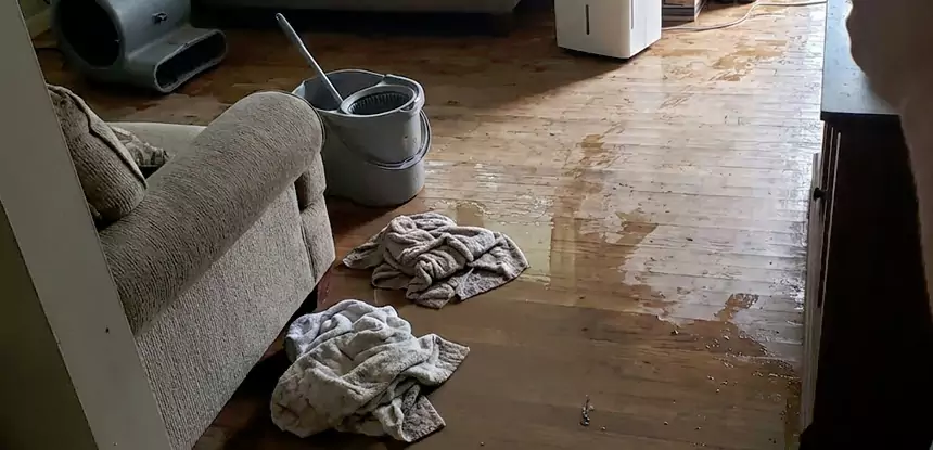 Professional Basement Water Remediation Services in Morganton, GA