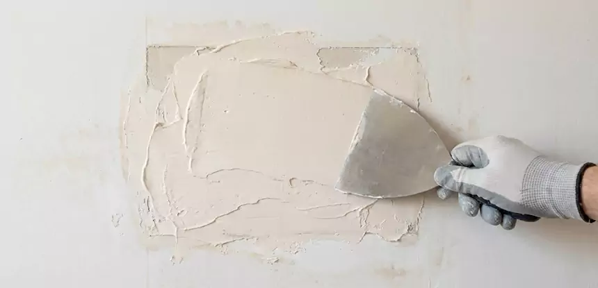 Professional Mold and Drywall Repair Services in Morganton, GA