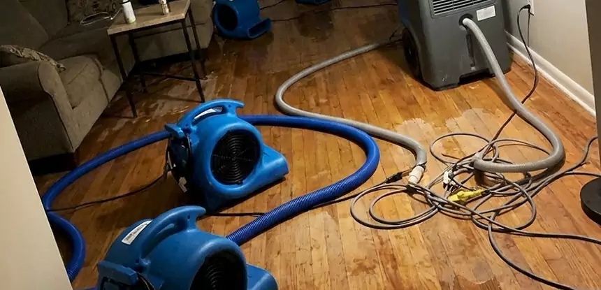 Basement Flood Restoration Services in Morganton