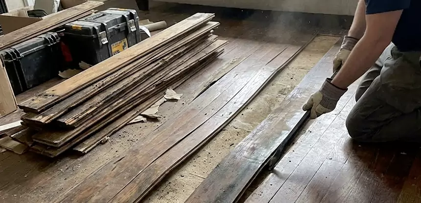 Wood Rot and Fungus Repair in Morganton