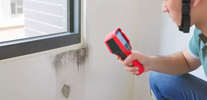 Wall Texture Repair After Mold in Morganton