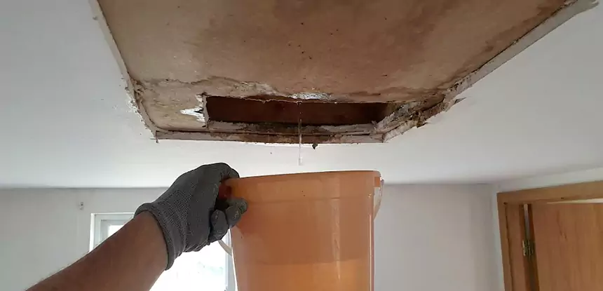 Ceiling Mold Repair Morganton