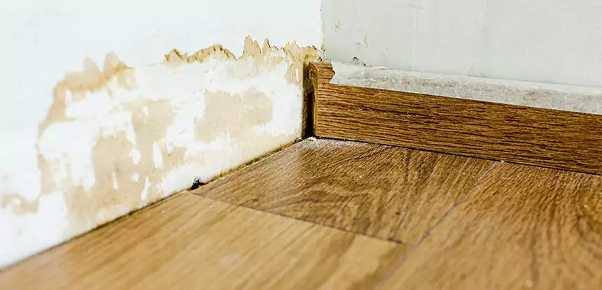 Professional Fix Water Damaged Wood Services in Morganton, GA