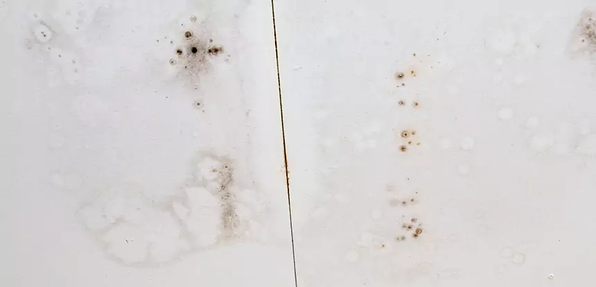 Professional Water Stain Repair Services in Morganton, GA