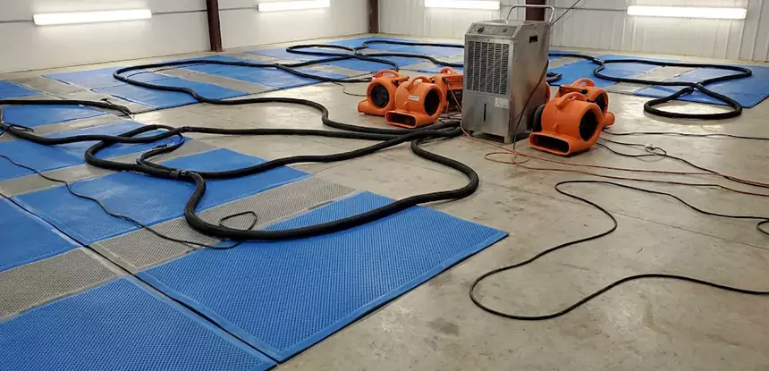 Professional Flooded Carpet Drying Services in Morganton, GA