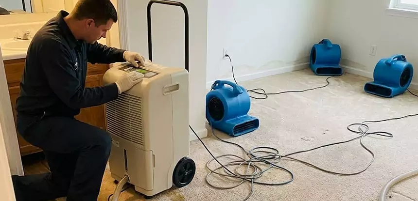 Professional Wet Carpet Removal Services in Morganton, GA