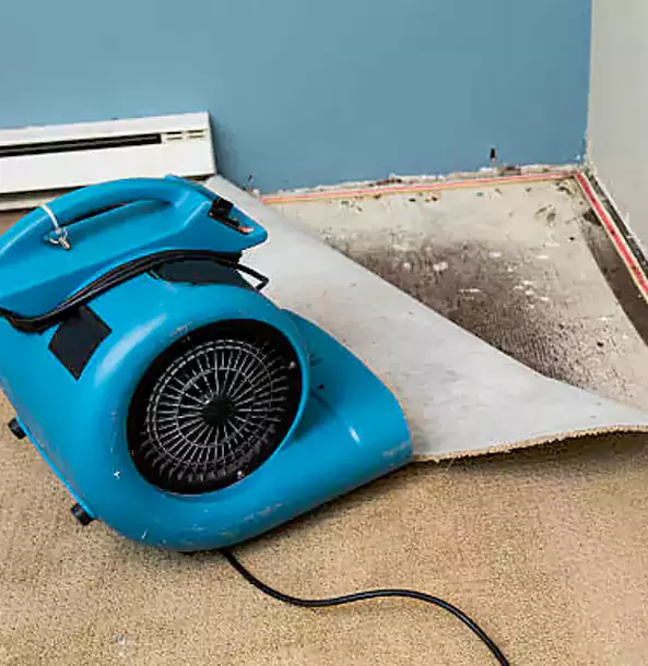 Why Morganton Trusts Morganton Restoration Pro for Carpet Flood Recovery?