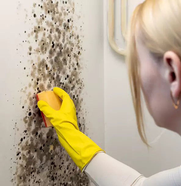 Why Morganton Restoration Pro Leads Mold Remediation in Morganton?