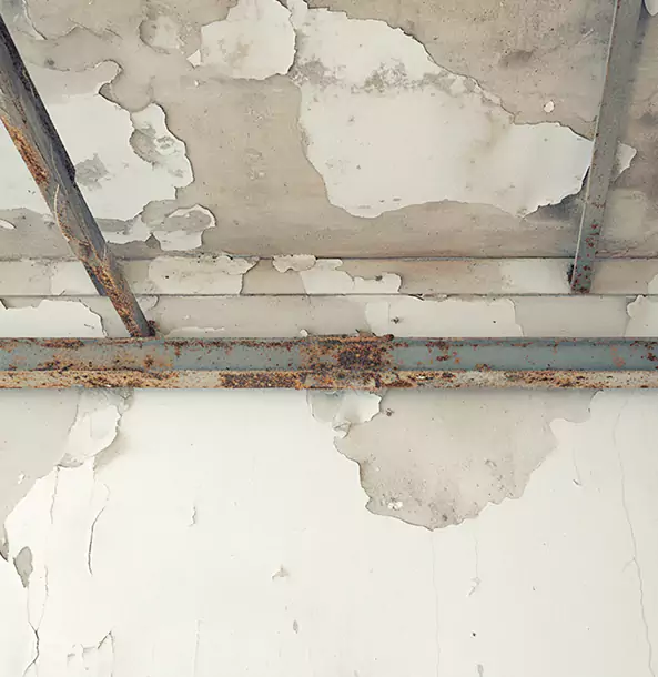 Why Morganton Restoration Pro Is the Right Choice in Morganton, GA?