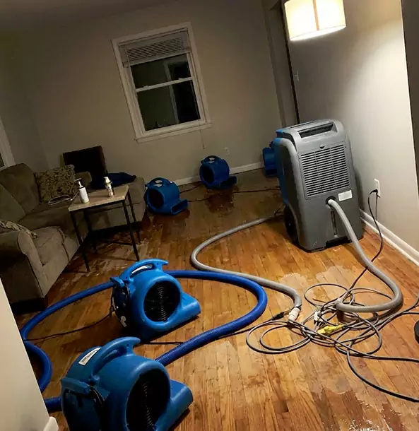 Why Morganton Property Owners Rely on Morganton Restoration Pro for Remediation?