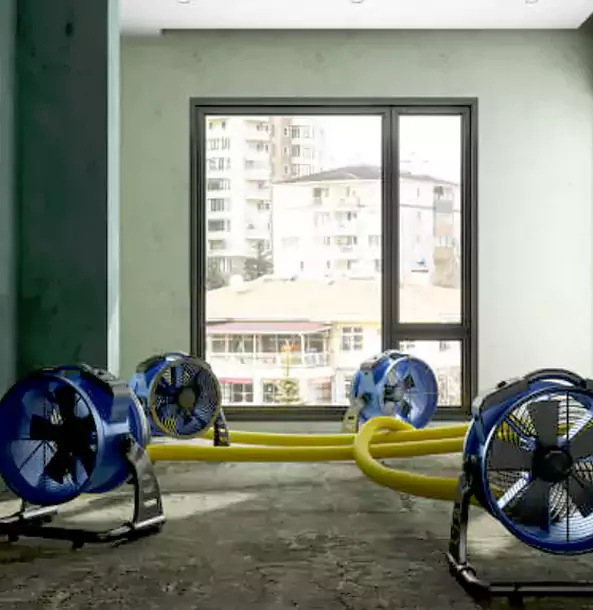 Why Morganton Property Owners Trust Morganton Restoration Pro for Water Damage Drying?