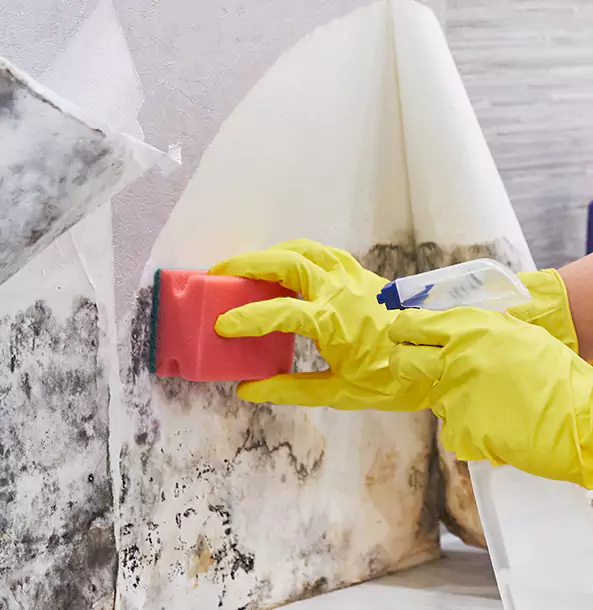 Why Morganton Trusts Morganton Restoration Pro for Mold and Water Restoration?