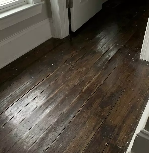 Why Morganton Homeowners Trust Morganton Restoration Pro to Fix Water Damaged Wood?