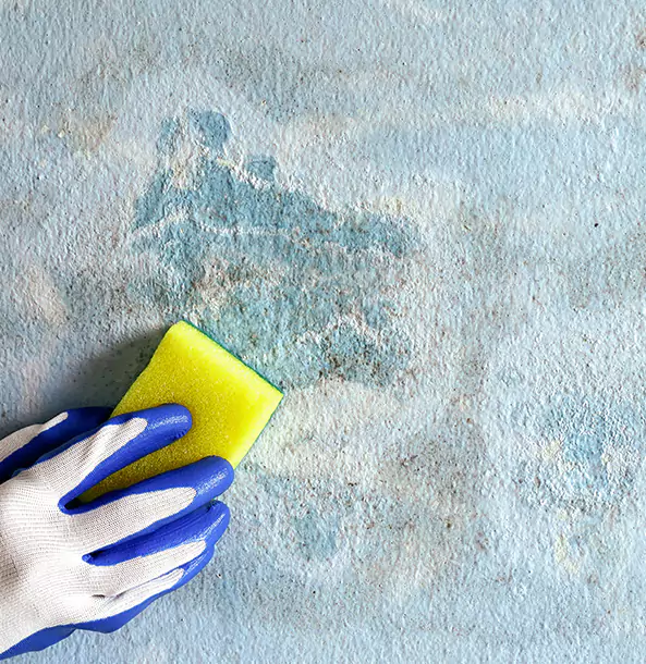 Why Morganton Restoration Pro Is the Right Choice in Morganton, GA?
