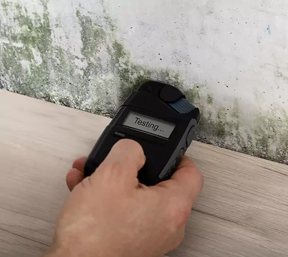 Mold Remediation Service Morganton