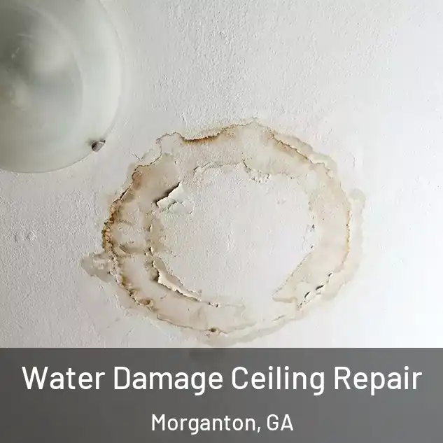  Water Damage Ceiling Repair Morganton, GA