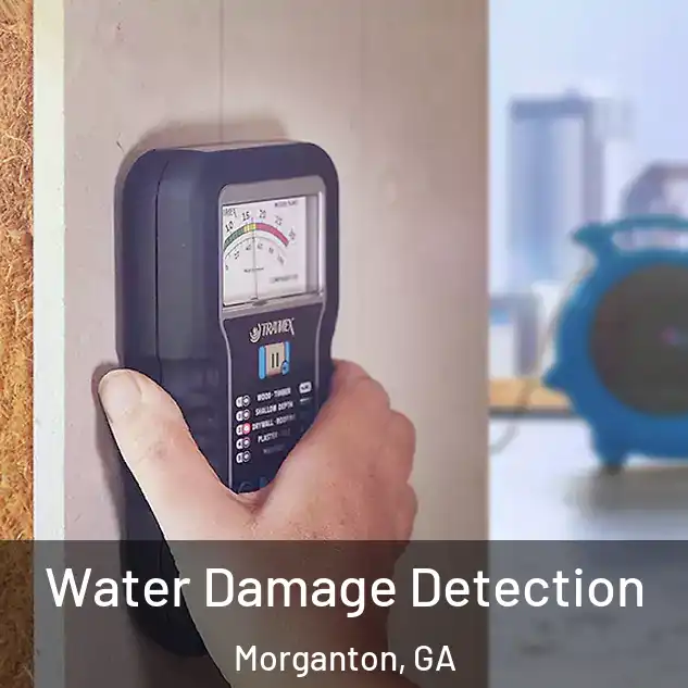  Water Damage Detection Morganton, GA