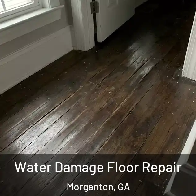  Water Damage Floor Repair Morganton, GA