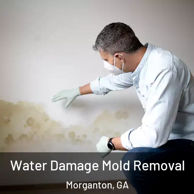  Water Damage Mold Removal Morganton, GA