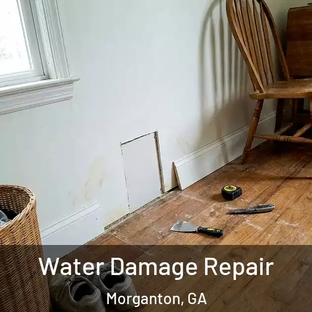  Water Damage Repair Morganton, GA