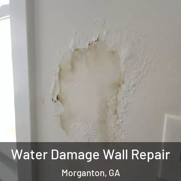  Water Damage Wall Repair Morganton, GA
