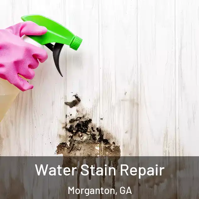  Water Stain Repair Morganton, GA