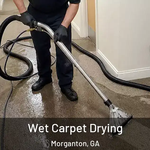 Wet Carpet Drying Morganton, GA